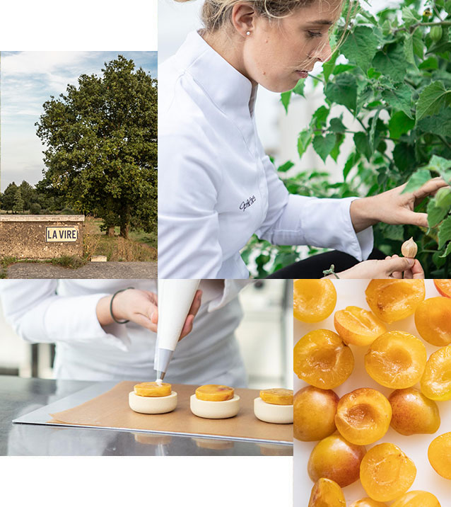 Collage con la Pastry Chef Ophélie Barès che controlla le colture e poi che lavora in laboratorio, con panorama Normanno e prugne gialle