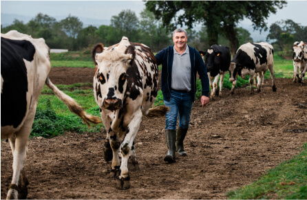 This Normandy farmer works as close as possible to nature, in the beautiful setting of the bocage, and grazes his herds on fresh grass in pastures for as long as possible throughout the year.Due to its simple composition, Elle & Vire Professionnel® Excellence cream is closer to nature.