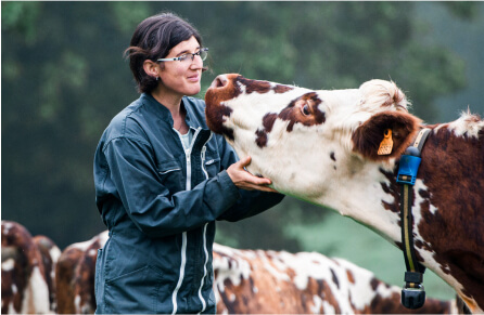 L’éleveuse normande est une fervente défenseuse de son terroir. En plus d’avoir fait le choix d’élever des vaches laitières de race normande, en menant son troupeau au pâturage, elle participe à l’entretien du paysage caractéristique normand qu’est le bocage.Elle & Vire Professionnnel® défend les produits de terroir en collectant le lait en France, au plus proche de la laiterie de Condé-sur-Vire.