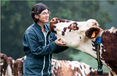This French farmer is an ardent defender of her origin. In addition to having chosen to rear Normande cows, by leading her cows to pasture, she helps to maintain the characteristic French Normandy landscape that is the bocage.Elle & Vire Professionnnel® defends local products by collecting milk in France, as close as possible to the dairy.