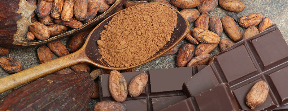 Du cacao au chocolat …une grande histoire !