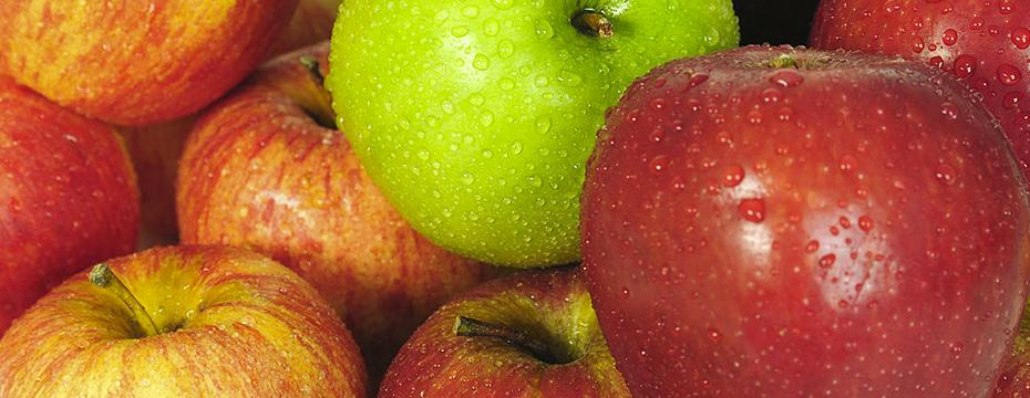 Le fruit défendu... un délice malicieux !