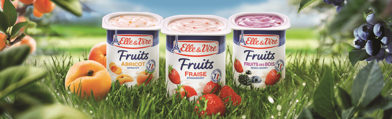 The Fruits dairy desserts have been renewed!