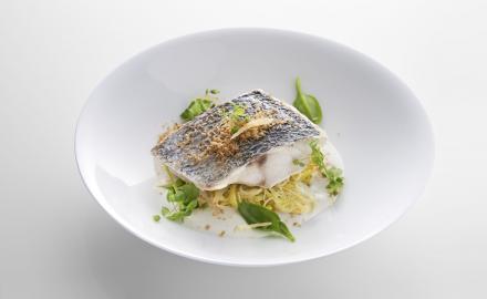 Sea bass with coconut, cream cheese sauce with ginger and yuzu