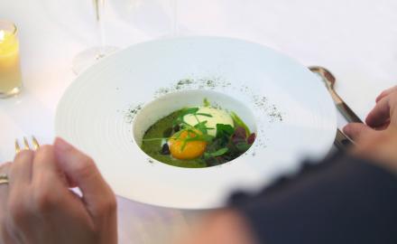 Le jaune d’œuf de poule fermier crémeux, crème d'oseille et herbes sauvages