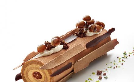 Bûche du sous-bois normand