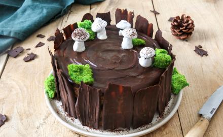 Gâteau Forêt Enchantée