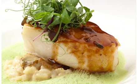 Roasted sea bass, risotto with truffle and Périgueux sauce