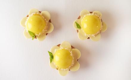 Lotus tartlet