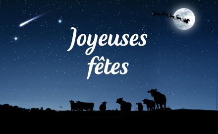 Elle & Vire vous souhaite de joyeuses fêtes !