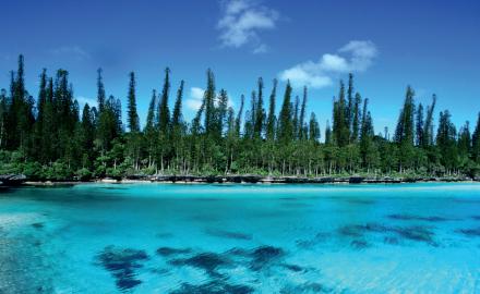 New Caledonia, a breeding ground of flavors