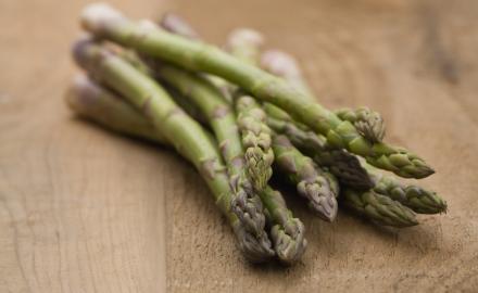 Les asperges, premiers bourgeons de printemps !