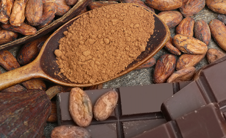 Du cacao au chocolat …une grande histoire !
