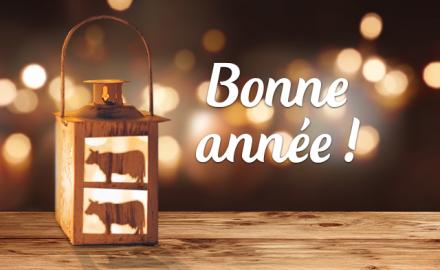 Bonne année 2017