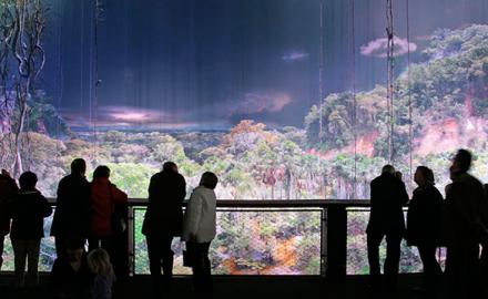 Panorama Amazonia à Rouen : la grande exposition 360° sur la forêt tropicale