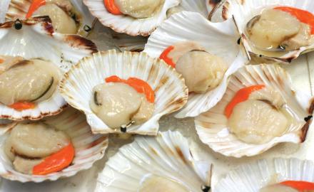 Coquilles peut-être, mais pas toutes Saint Jacques !