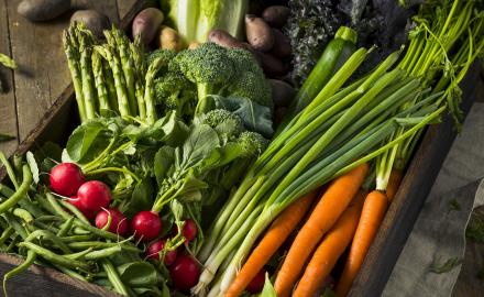 Cuisinez vrai, Cuisinez bon avec des produits de saison